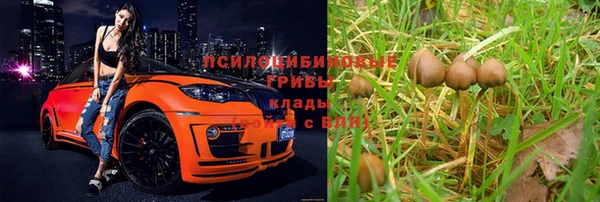 a pvp Беломорск