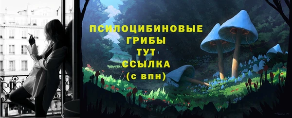 a pvp Беломорск