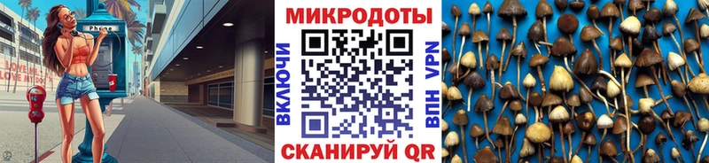 дарнет шоп  blacksprut ссылки  Галлюциногенные грибы Magic Shrooms  Кузнецк 